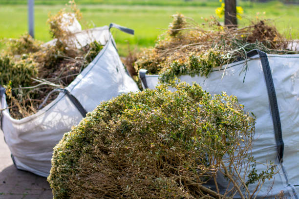 Best Construction Debris Removal  in Pelham, GA